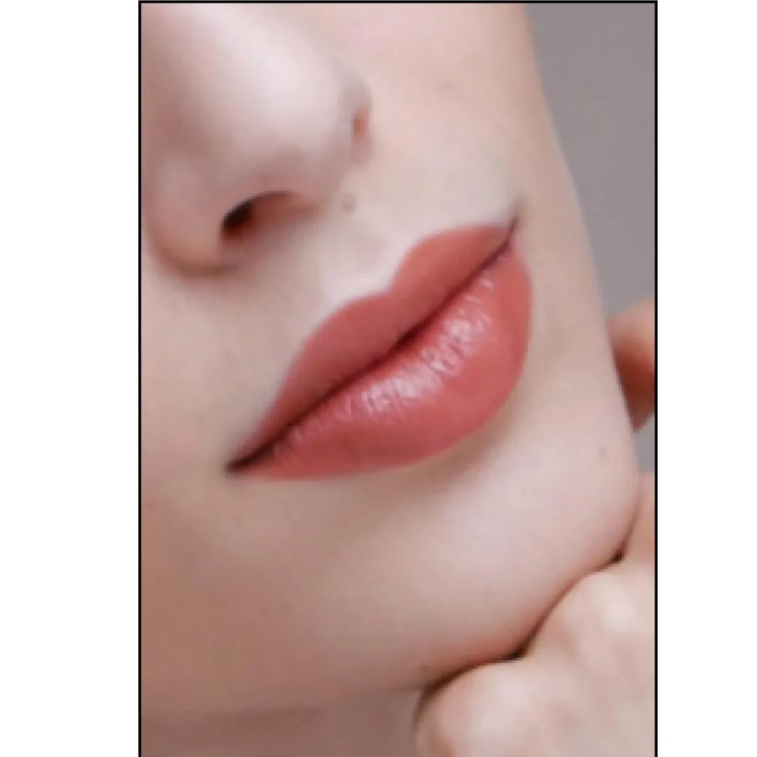 Bioactive Rossetto Sheer Satinato 206 Brown Orange – Liquidflora - immagine 2