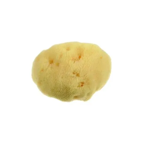 Spugna del Mar Mediterraneo Fine Dama 10cm – Mood